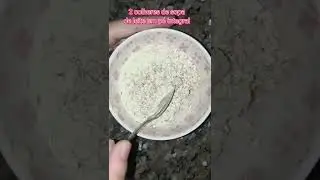 Op&ccedil;&atilde;o de ceia saud&aacute;vel #alimentacaosaudavel #receitas #massamuscular