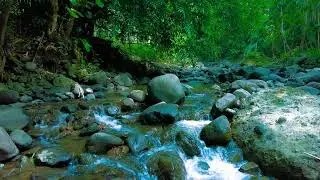 Mountain River Passage &ndash; Flowing Water for Deep Meditation & Calm