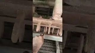 Dhan basket setting