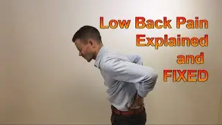 Low Back Pain   Explained and FIXED