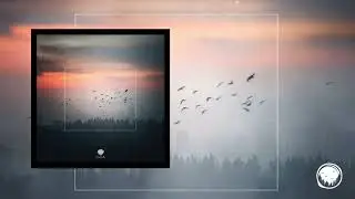 Echoes in the Valley - Vol 12