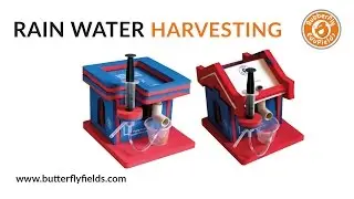 Mini Rainwater Harvesting for flat roof | Science Projects | Butterfly Fields