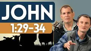 Jesus Revealed: A Deep Dive into John 1:29-34