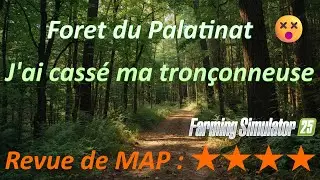 🌲 Forêt du Palatinat : 🪵 Cette MAP FS25 va casser ta tronçonneuse ! 🔥
