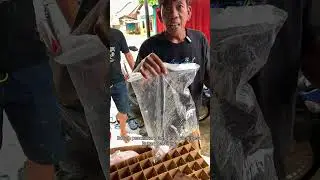 kaji macam apa ini #jeparaterkini #videoshort #komedi