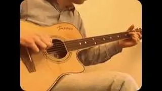 Amazing Fretless Acoustic Guitars by AFG