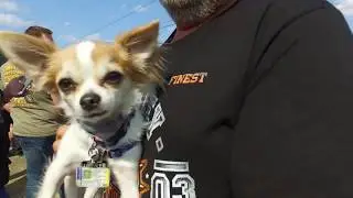 Sturgis Motorcycle Rally 2017 Highlights Reel