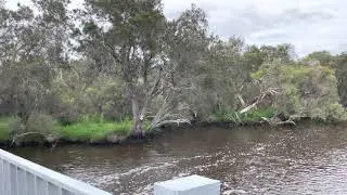 Canning River Regional Park #iamarwa