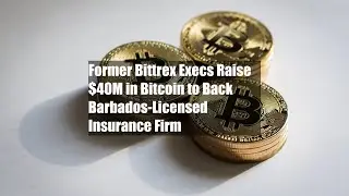 Former Bittrex Execs Raise $40M in Bitcoin to Back Barbados-Licensed Insurance Firm