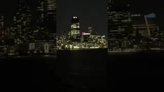 Beautiful Statue of Liberty/Lower Manhattan view in night