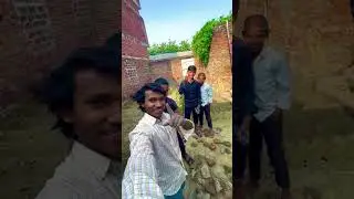 Today I Went to Plant Potatoes | Village Farming Vlog | Mister masti vlog 