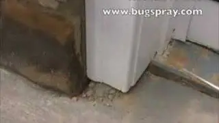 Carpenterant treatment using Demise Dust