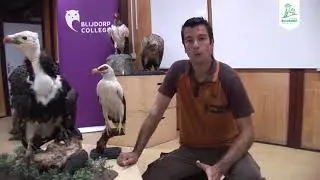 ONLINE BLIJDORP COLLEGE:  Leer alles over GIEREN - Diergaarde Blijdorp Rotterdam