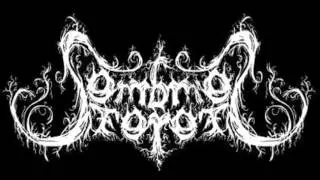 Sombres For&ecirc;ts - Untitled