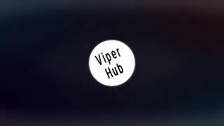 ViperHub Intro!