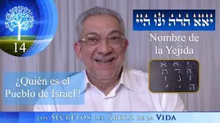 Kabbalah: Los secretos del árbol de la vida - clase 14