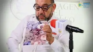 Mario Zepeda, a 25 a&ntilde;os de su cobertura al levantamiento zapatista