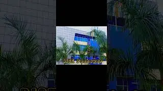 BISE Peshawar #viral #shorts #bisep #bisepeshawar #peshawarboard