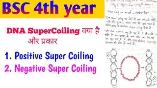 DNA Supercoiling Explained in Hindi | Types of DNA Supercoiling | Molecular Biology  