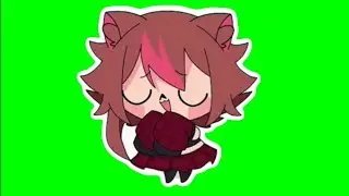 Rakkun bailando pantalla verde para tus videos 