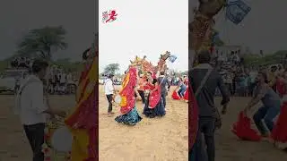 Desert Camel Dance Goes Viral in UK &ndash; Shocking Moves