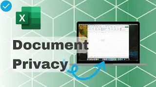 How To Set Document Privacy In Excel?