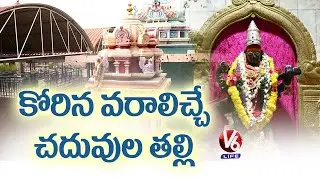 History Of Sri Saraswathi Kshetramu In Ananthasagar | Siddipet | Theertham | V6 Life