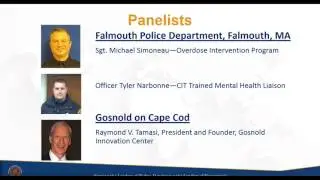 Law Enforcement&rsquo;s Path to Improving Public Safety  Partnering with Local Behavioral Health Agencies