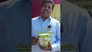 Akarsh ME అనే పేస్ట్ వాడటం వలన పండు ఈగను పూర్తిగా నివారించవచ్చు #akarshme #fruitfly #atgc #viral