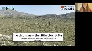Winter Talk 1: The Evolution and Taxonomy of Hyacinthinae with Hannah Hall