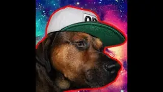 dusdavidgames pvp 7