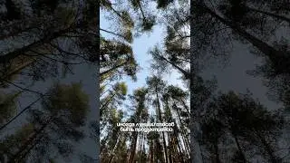 DIGITAL DETOX ДЛЯ АССИСТЕНТА: КАК НЕ СГОРЕТЬ ОТ ПОСТОЯННОЙ СВЯЗИ