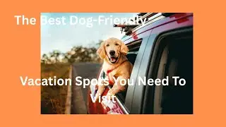 ***The Best Dog Friendly Vacation Spots You Need To Visit***