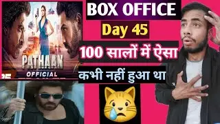 Pathaan Movie Day 45 Box Office Collection || Pathaan Day 44 Offical Collection Report|| SRK||