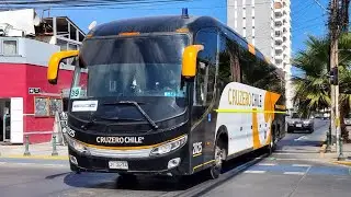 Buses interurbanos y privados / Iquique - Alto Hospicio