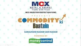 Factors That Affect Base Metals Price by Ms. Rashmi Nihalani at Coimbatore