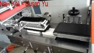 China Foshan Full Auto Servo Tissue Pillow Type Packing Machine