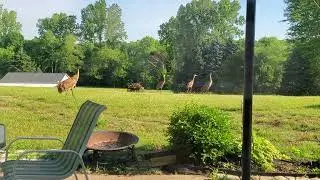 Visitors...