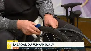 Så lagar du punkan själv - Nyhetsmorgon (TV4)