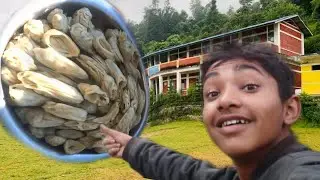 Made momos at school 😱 How are the momos?🥘