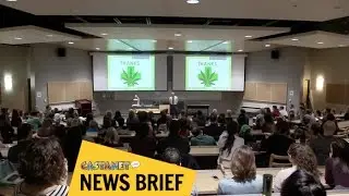 Talking pot and mental health