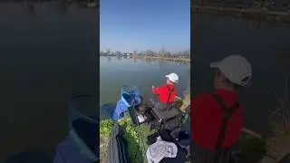 Method feeder #shorts  #feederfishing #fishing  #carpfishing #feeder #fipsas #video #фидер