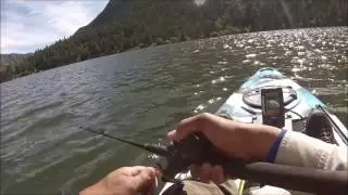 TraVado Ghost Trout