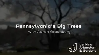 Pennsylvania&rsquo;s Big Trees with Aaron Greenberg