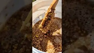 How to Save 25% on Chicken Feed: The Secret of Fermented Grain