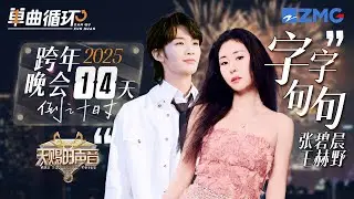 【倒计时14天🎊】张碧晨&王赫野《字字句句》丨单曲循环丨天赐的声音