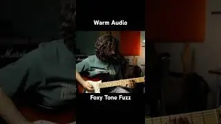 Warm Audio Foxy Tone Fuzz in the mix! #guitarpedals #fender #octavefuzz #warmaudio #fuzzpedal