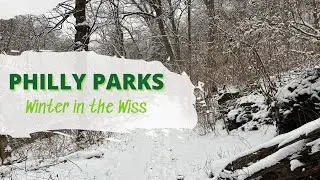 Philly Parks Series: Wissahickon Park in the Winter