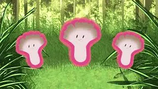 SHIMA - MAITAKE (Official Lyric Video)