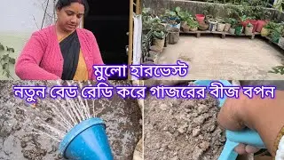 ছাদ বাগানের টুকটাক বিভিন্ন রকমের কাজ সেরে নিলাম #gardening #garden 